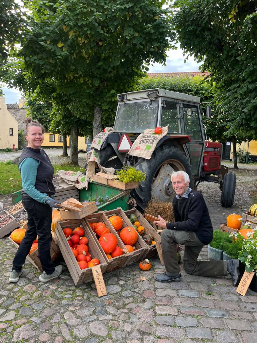 Græskar, kartofler og en gammel traktor til Beghusets høstfest i Dragør