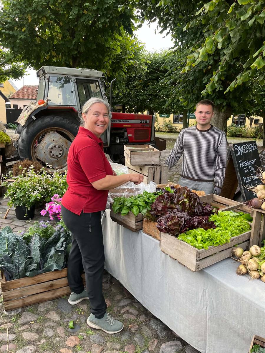 Markedsstand til høstfesten med salat, basilikum, grønkål og rødbeder på Dragør Torv