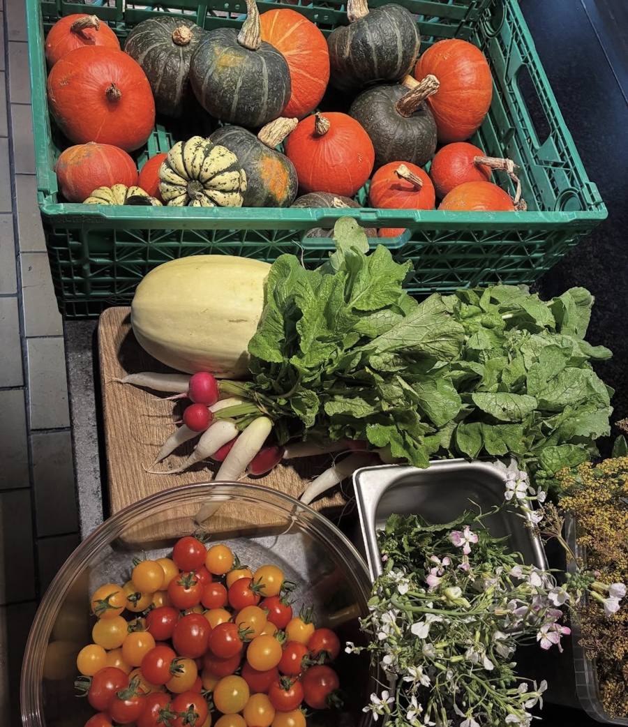 Kasse med græskar og squash, radiser, grønt og cherrytomater i Beghusets køkken